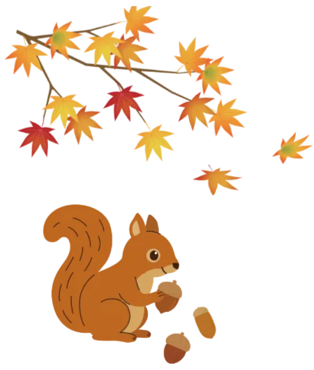 紅葉画像