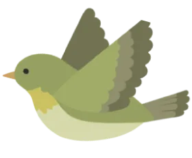 鳥画像